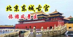 大黑吊日女人B中国北京-东城古宫旅游风景区
